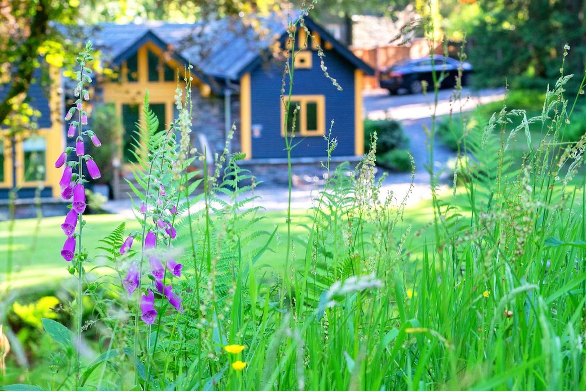 Carr Crag Pavilion Little Langdale Ngoại thất bức ảnh